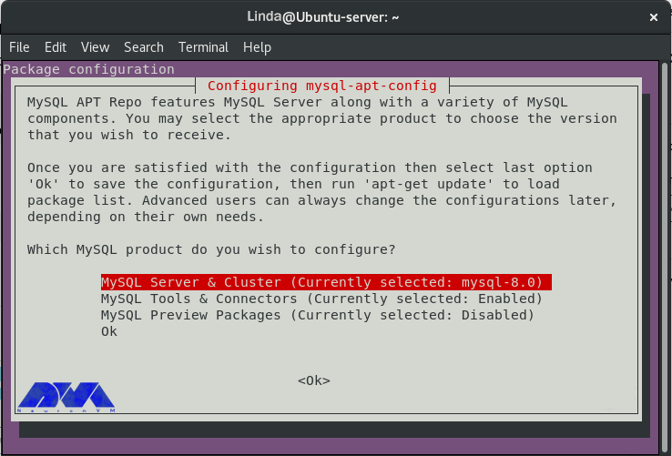 Install MySQL Database Server on Debian