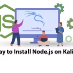 Top way to Install Node.js on Kali Linux