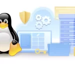 Why Linux VPS Hosting is Perfect for Developers