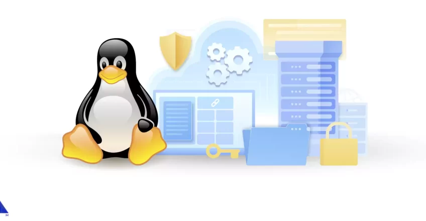 Why Linux VPS Hosting is Perfect for Developers
