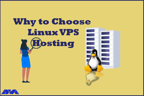 Benefits of Linux VPS Hosting for Developers