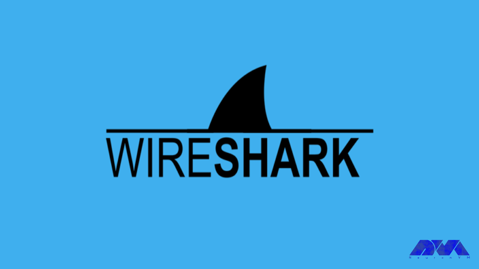 What is Wireshark and how does it work?