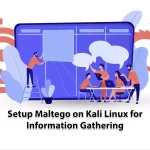 Setup Maltego on Kali Linux for Information Gathering