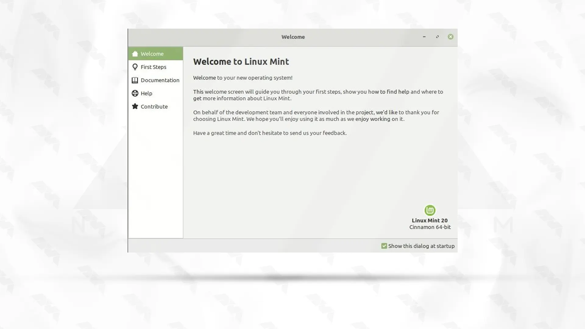 linux mint welcome screen - installing linux mint from usb drive