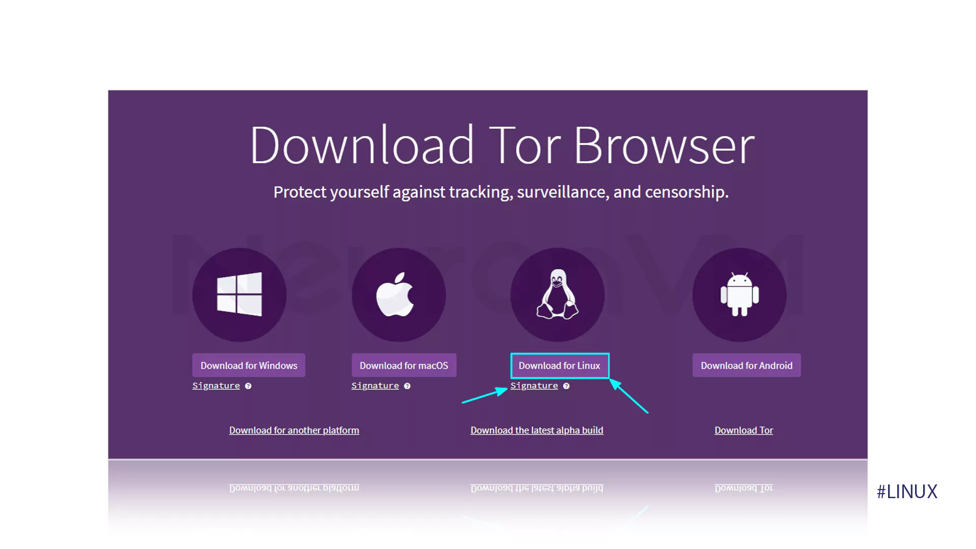 Tor browser installation images on Ubuntu 24.04