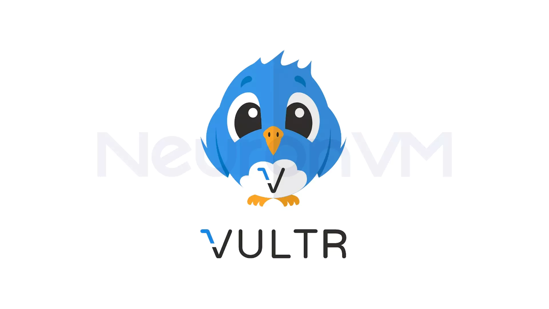 Best alternatives to Vultr for Cloud Hosting