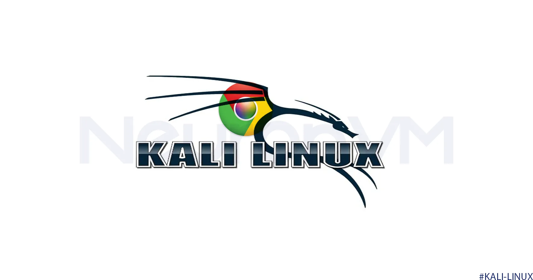 install Kali Linux on Chromebook