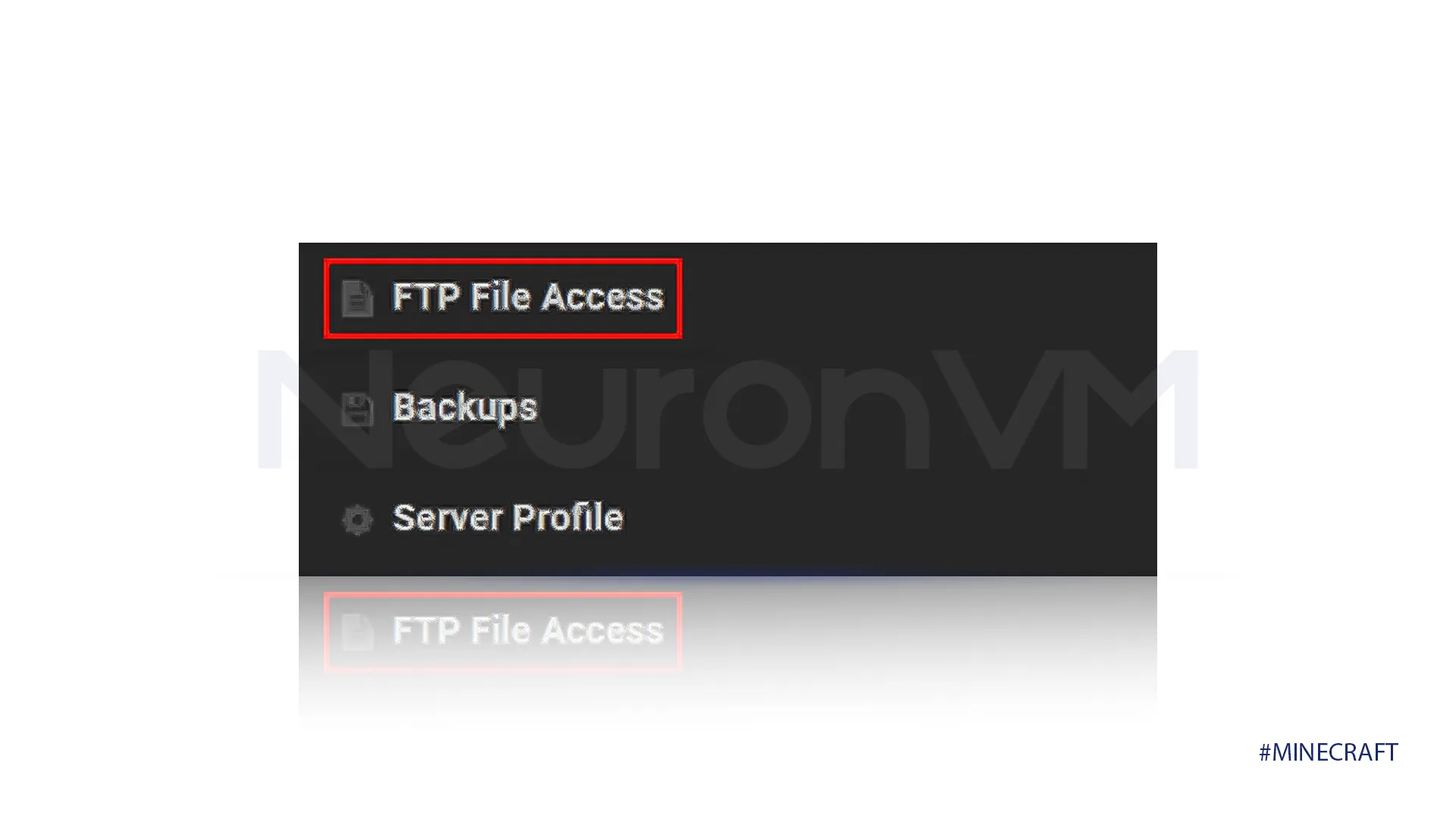 Access your server's FTP and find the "FTP File Access" button.