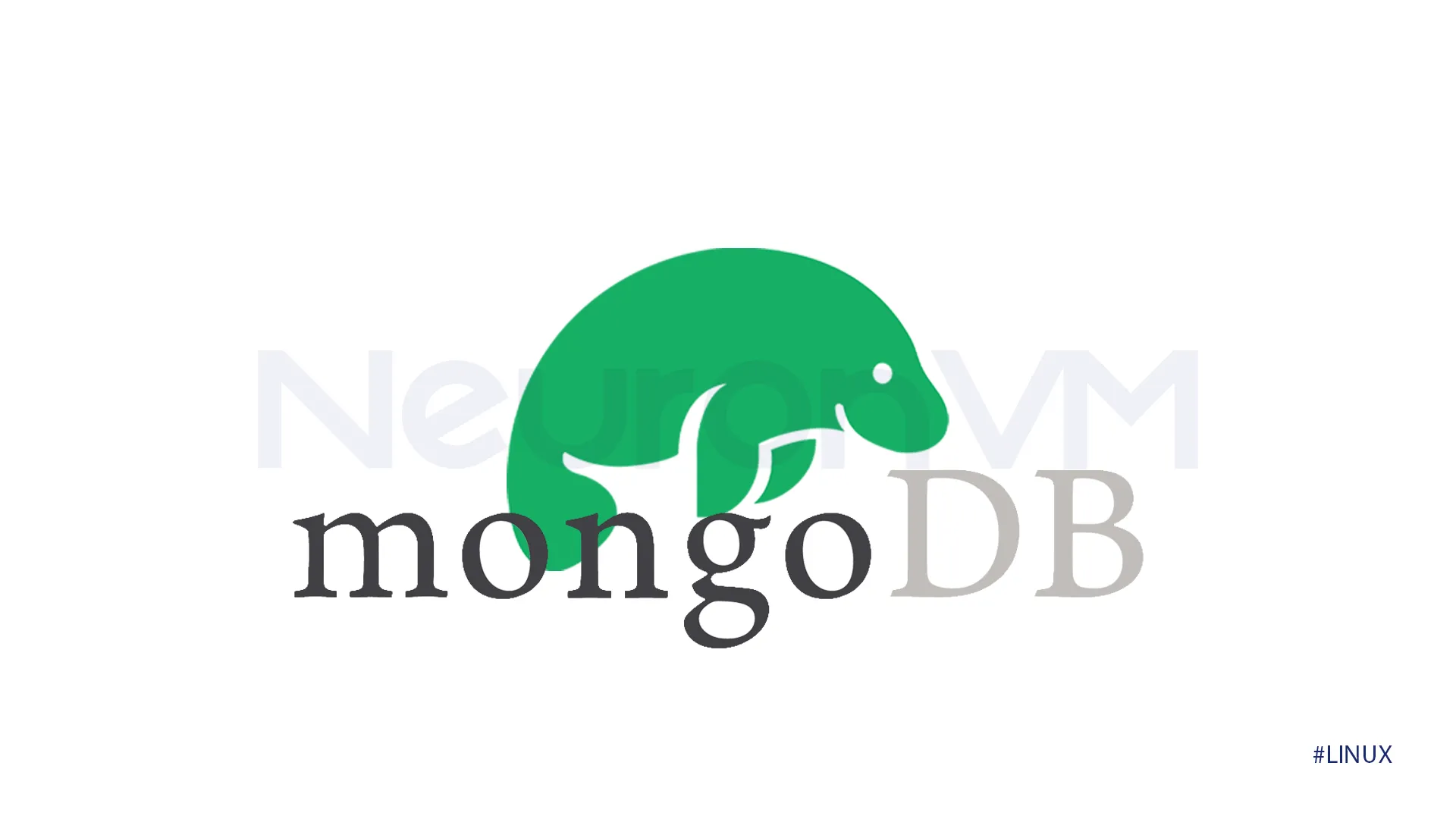 how to connect Studio 3T MongoDB to local DB