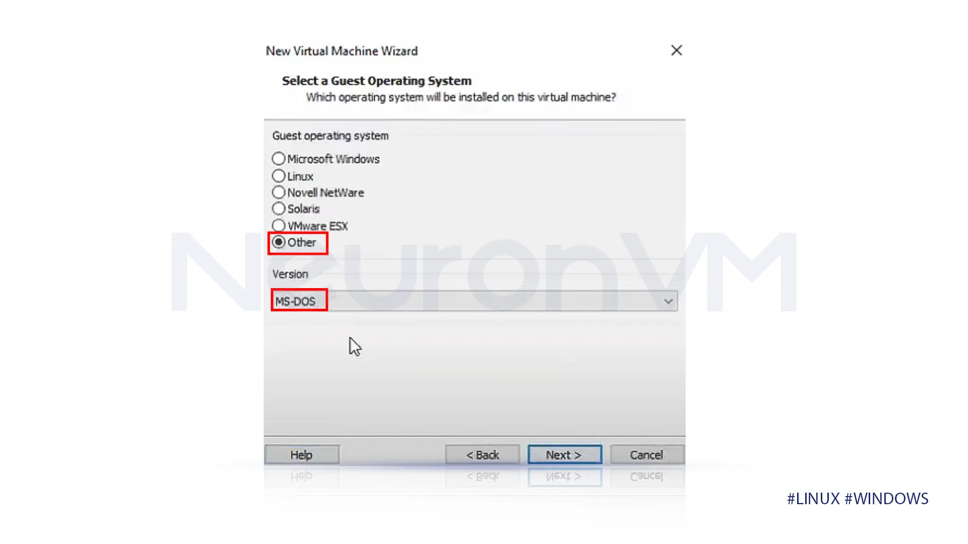 in guest operating system select "Other", and select "MS-DOS" in the version.