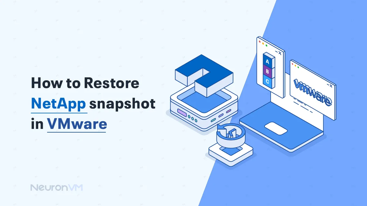 how to Restore Netapp snapshot in VMware​