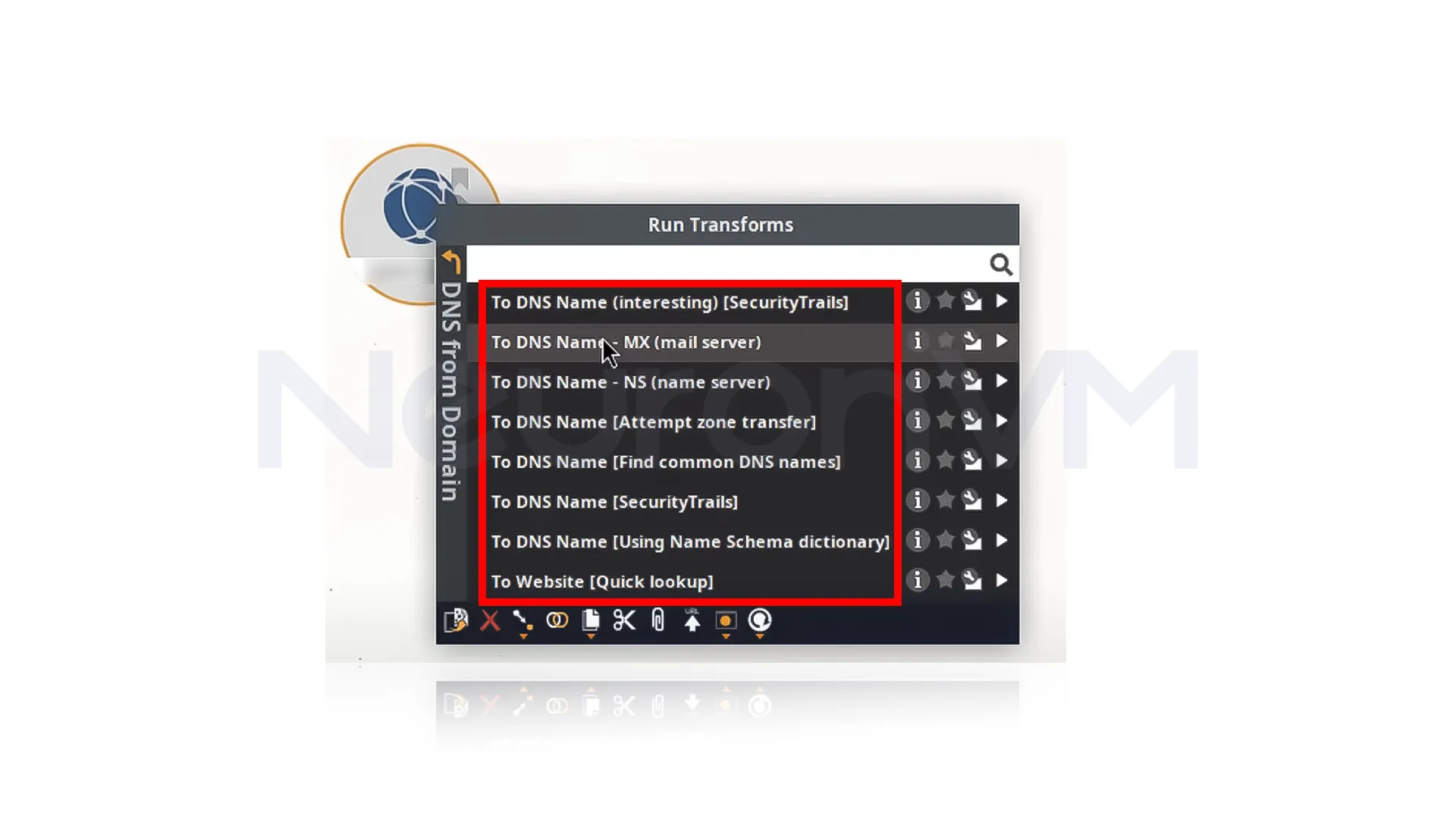 if you want to see DNS information of this domain, select the specific option you want.
