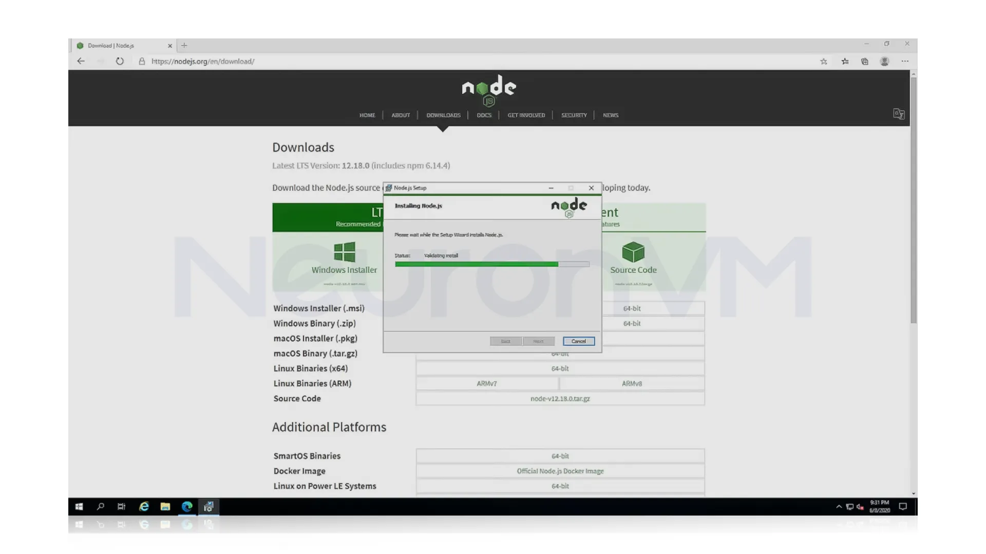 installer is running, the screen should look similar to the image below