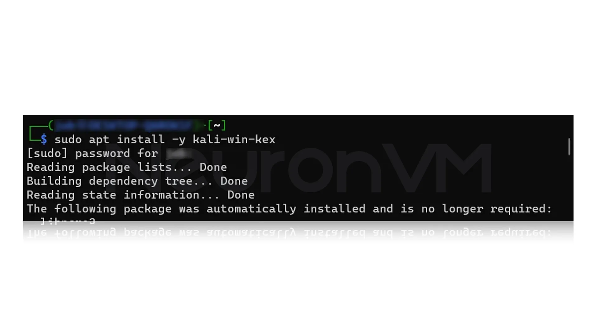 Update Kali Linux