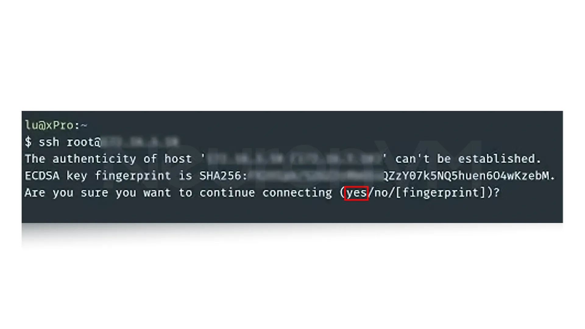fingerprint-new-ssh-connection-linux-mint-1