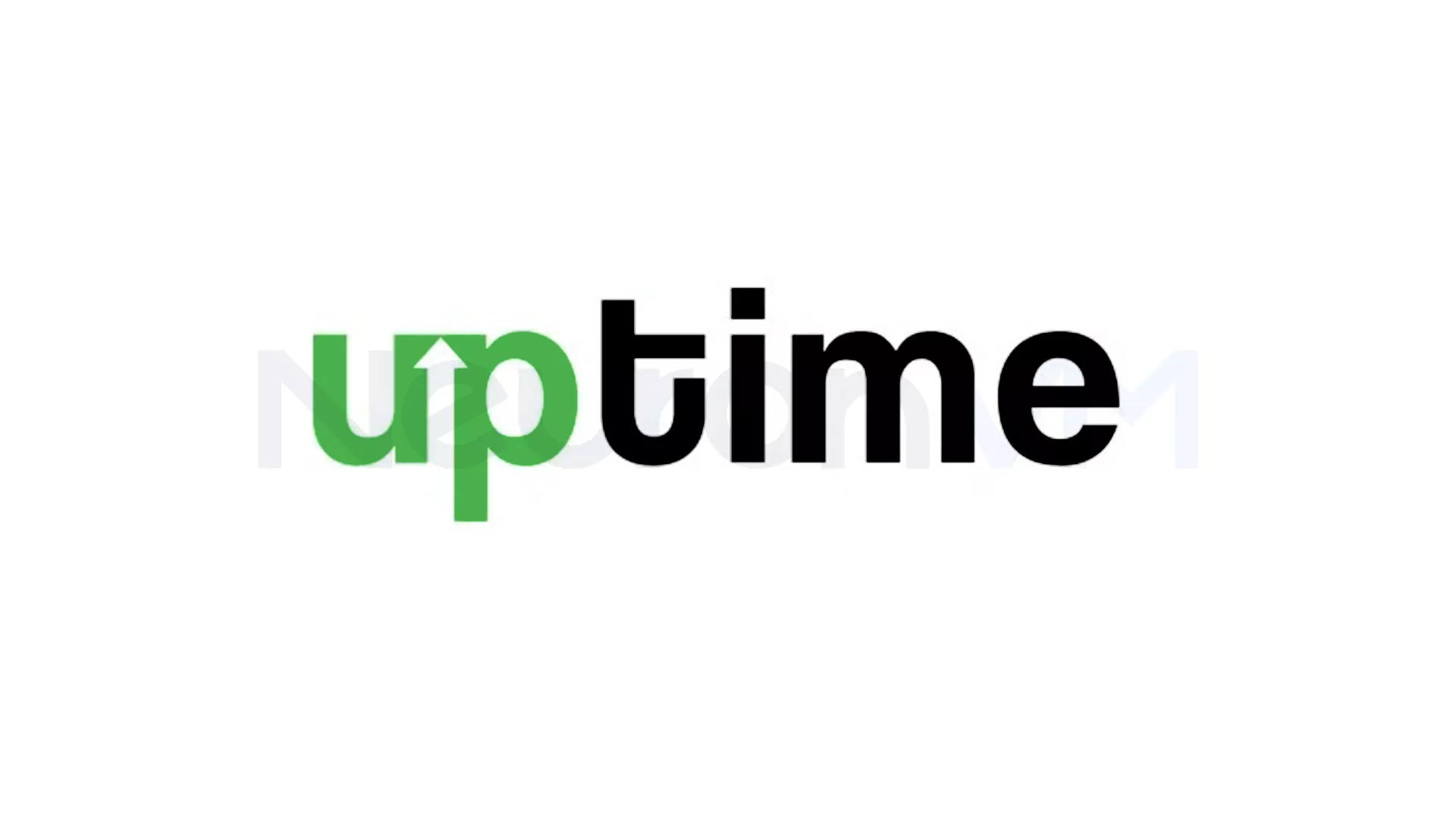 Monitoring a website by installing the Uptime tool Kuma with Caddy on Ubuntu version 20.24