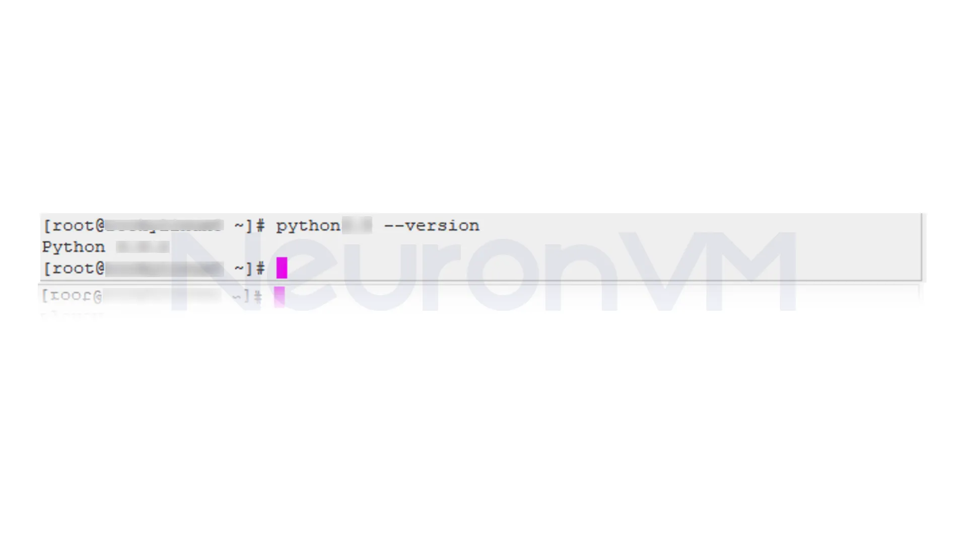 Verify Python version