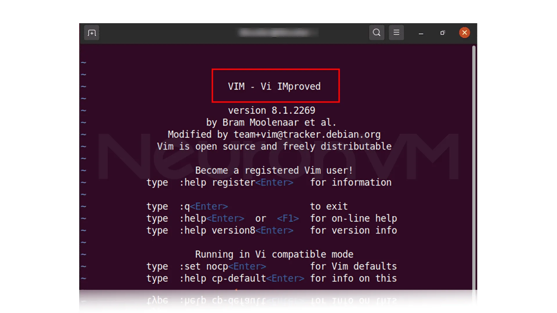 Vim text editor interface