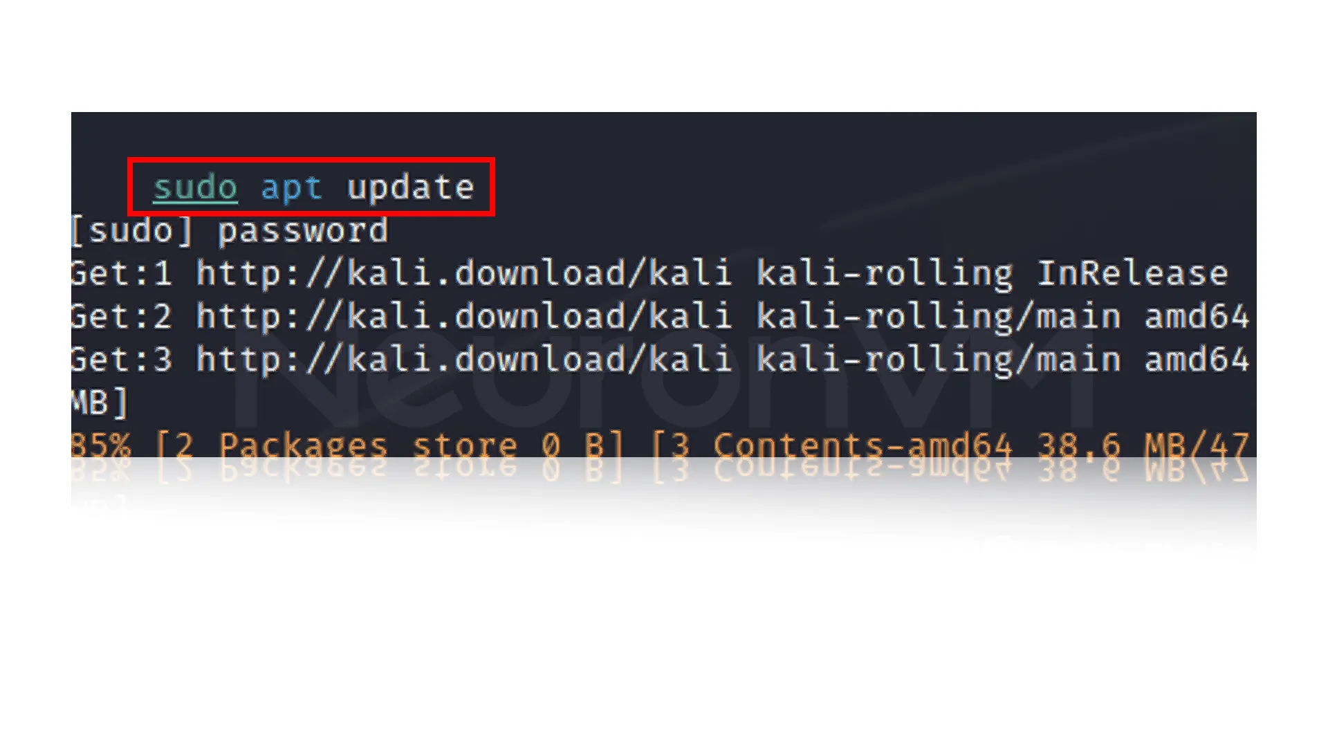 sudo apt update