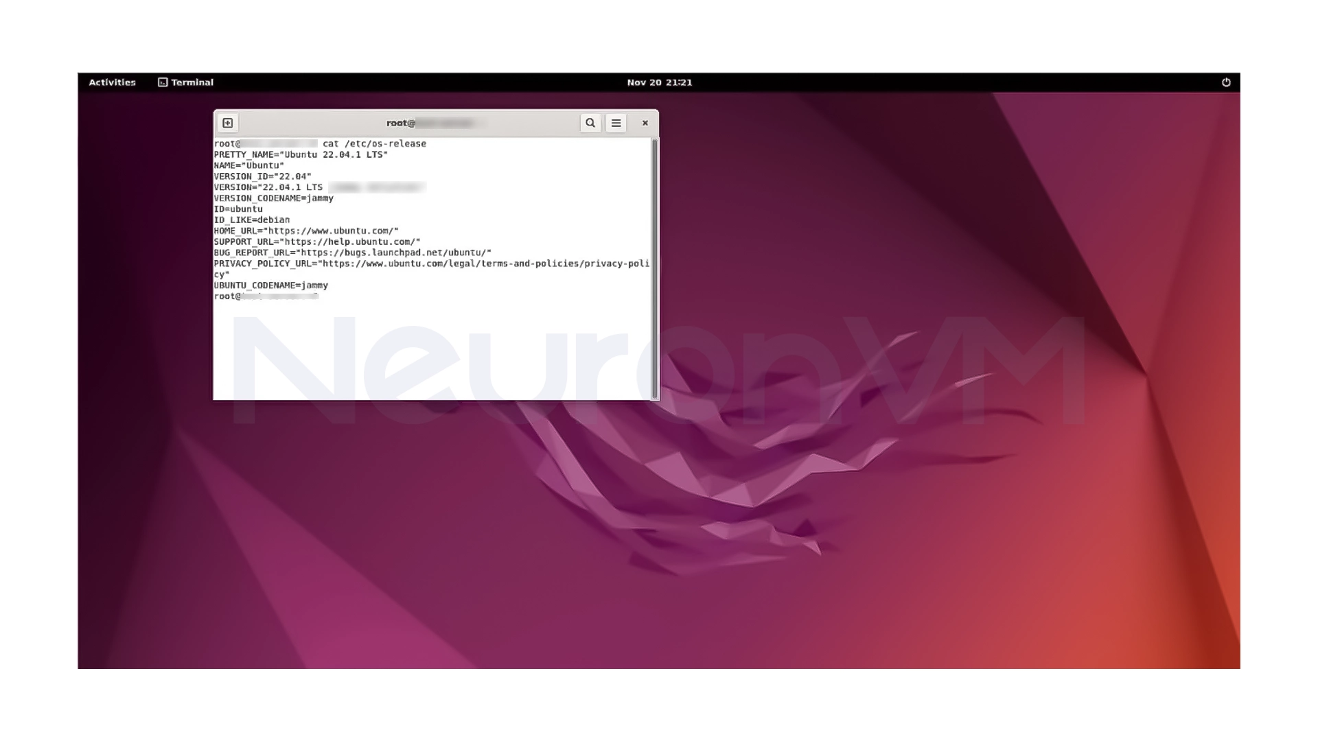 Ubuntu version and system status