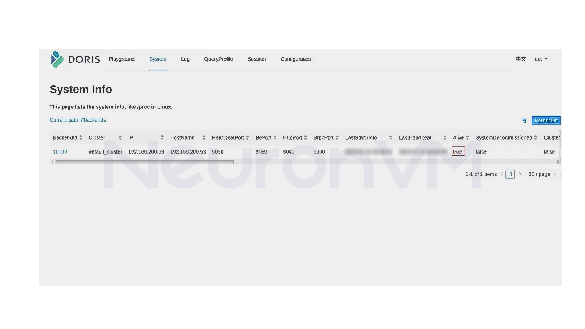 Apache Doris backend interface