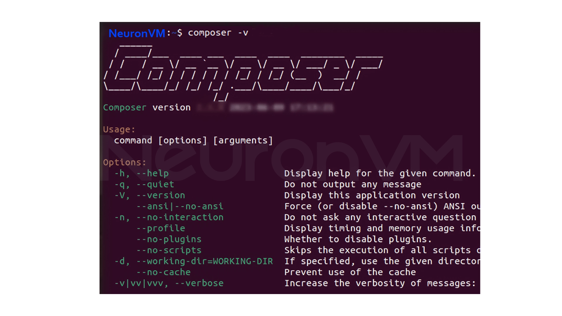 Composer version output