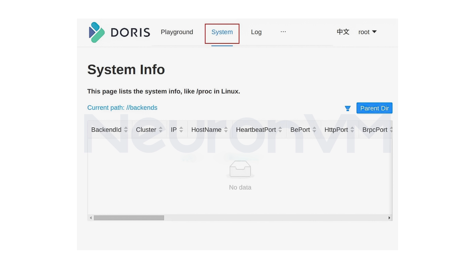 Apache Doris system info