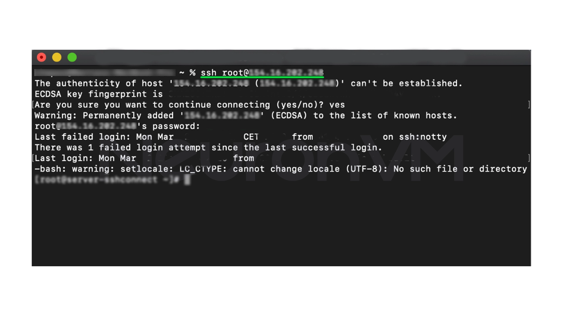 connect to the server via SSH