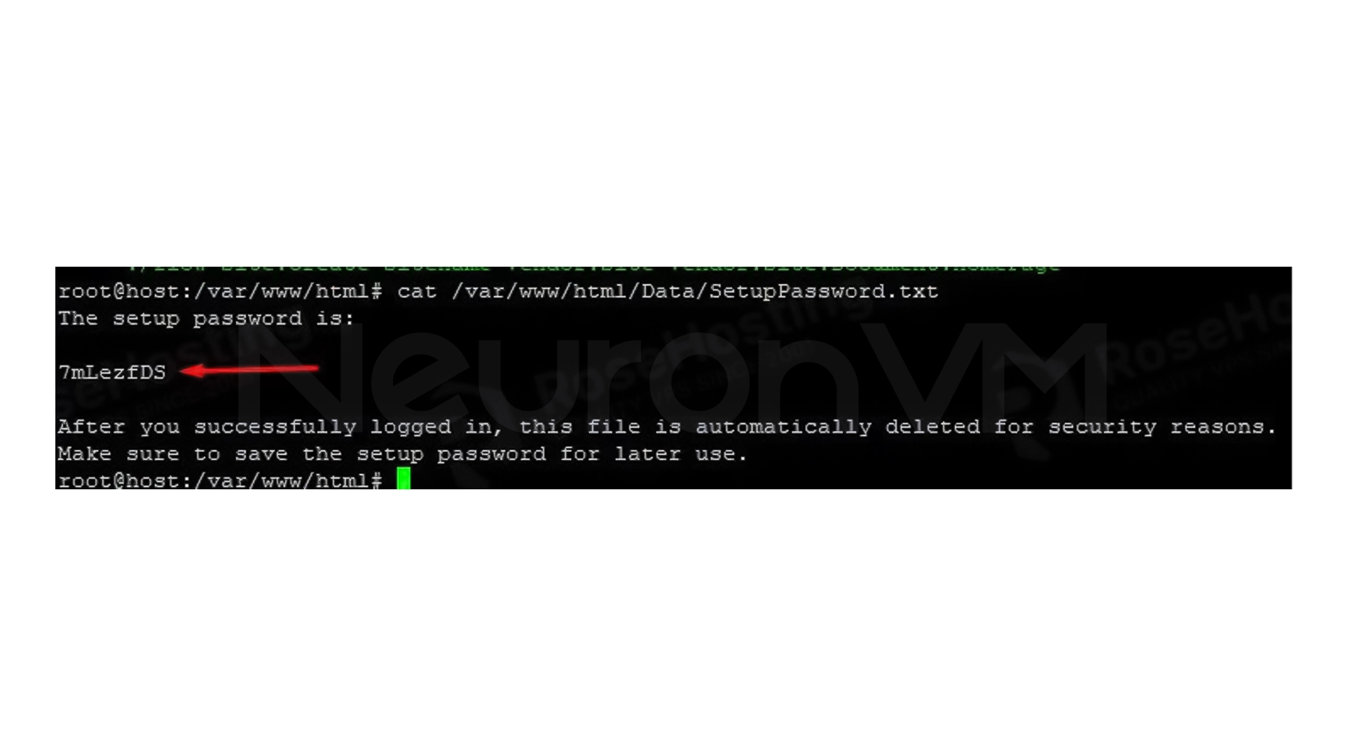SetupPassword.txt file